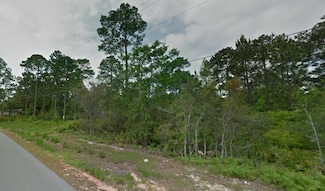 000 Peachtree Cir, Santa Rosa Beach, FL 32459