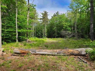 00 Trask Mountain Rd Unit Tract 4, Whitehouse/, Wolfeboro, NH 03894