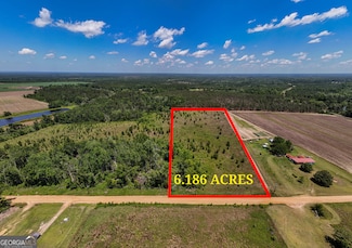 LOT #4 - 6.2+/- Perry Horton Rd, Adrian, GA 31002
