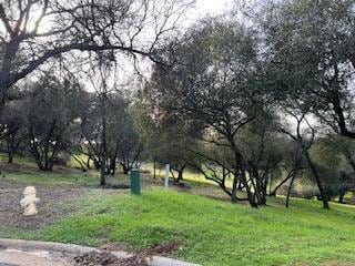 326 Mill Ct, Angels Camp, CA 95222