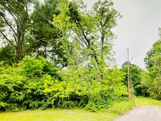 0 W Harrison St, Livingston, TX 77351