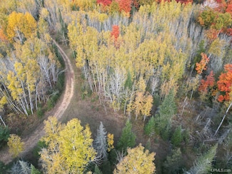 TBD Off River 80 Rd, Perronville, MI 49873