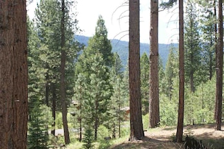 686 Bobcat Trail Unit Lot 25, the Vista's, Clio, CA 96106