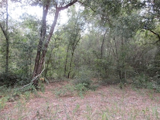 0 SE 1st Ln Unit MFROM710321, Silver Springs, FL 34488