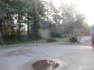 311 Sycamore Ct, Ocean Shores, WA 98569