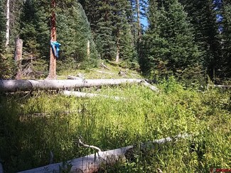 TBD County Road 51 Gladstone Girl, Silverton, CO 81433