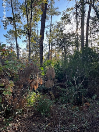 321 Ward Ave, Crescent City, FL 32112