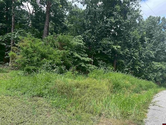 Lts 35-37 River Ranch Rd, Mountain Home, AR 72653