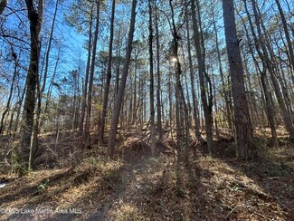 Lot 3 N Forty, Alexander City, AL 35010
