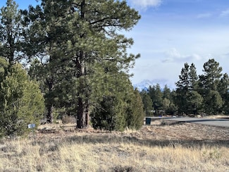 1960 Marmot Dr Unit 563, Ridgway, CO 81432