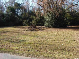 0 S Magnolia Ave, Andrews, SC 29510