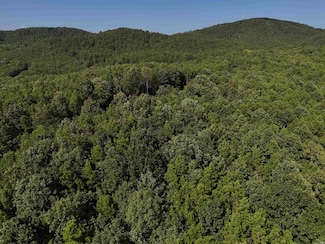 Lot 6 Polk County Road 78, Mena, AR 71953