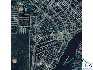 74 Nightingale Dr, Harleton, TX 23024