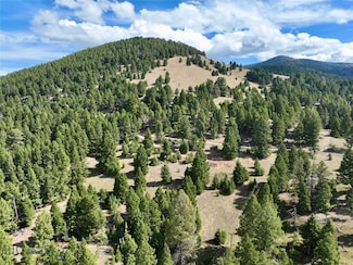 TBD Scranton Lode Lot 3 Ms 3667 Rd, Philipsburg, MT 59858