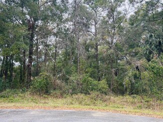 TBA SW 97th St, Dunnellon, FL 34432