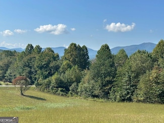 LOT 51 the Preserve at Crooked Creek, Young Harris, GA 30582