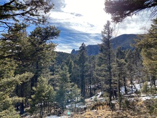 318 Palmer Trail, Manitou Springs, CO 80829