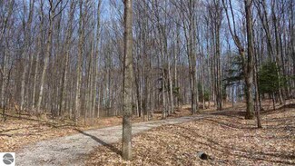 5949 S Hlavka Hills Dr, Maple City, MI 49664