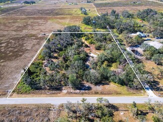 0 Curtis Rd, Ona, FL 33865