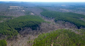 1 Marlin Dr, Remlap, AL 35133