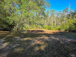 4957 Timothy Twitchell Dr, Milton, FL 32583