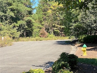 0 Pine Terrace Dr, Mount Airy, NC 27030