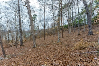 Lot 139 Islandview Cir, Sharps Chapel, TN 37866