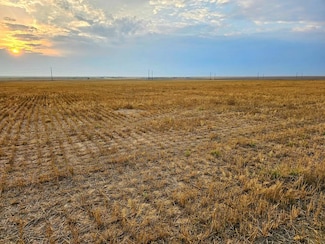 Tbd East 136th Ave, Hudson, CO 80642