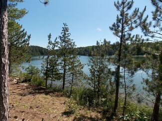 14999 Shore Line Dr Unit LOT 1, Wolverine, MI 49799