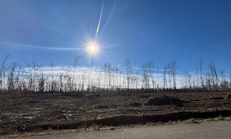 0 Brinkley Rd Unit RTC2963741, Wartrace, TN 37183