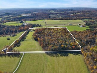 25.09 ac Moe Wilkins Rd, Le Raysville, PA 18829