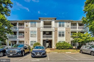 11020 Folksie Ct Unit 202, Manassas, VA 20109