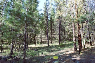 0 Ashland Rd Unit 23272830, Alturas, CA 96101