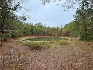 0000 Jackson Landing Rd, Picayune, MS 39466