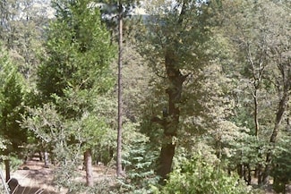 40 Fir St, Crestline, CA 92325