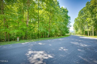 Tbd Whitetail Rd, Church Hill, TN 37642