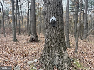 TRACT 3: 13.5+/- ACR Coles Valley Rd, Robertsdale, PA 16674