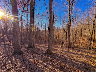 0 Oak Grove Rd, Waverly, WV 26184