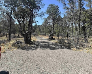 97 Bear Ln Unit 9, Timberon, NM 88350