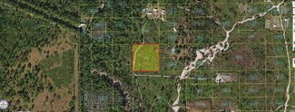 0 Holopaw Groves Rd Unit MFRO6241641, Saint Cloud, FL 34773