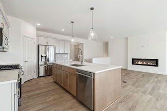 17811 Ellsworth Dr, Lakeville, MN 55044