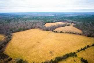 + - 59 Acres Unit Shannon County MO, Birch Tree, MO 65438