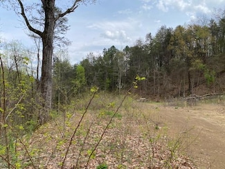 1628 Valley Rd, Sevierville, TN 37862
