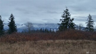 0 228th Way SE, Enumclaw, WA 98022
