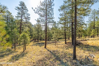 4195 N Subera Ln, Flagstaff, AZ 86001