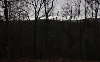 4 Thunder Rd, Hayesville, NC 28904