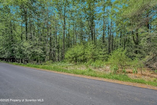 165 Indian Dr, Palmyra Township, PA 18426