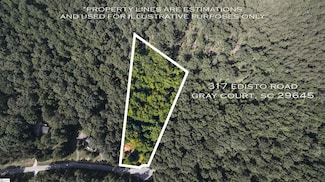 317 Edisto Dr, Gray Court, SC 29645