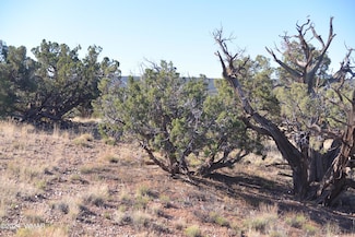 3908 Coronado Rd, Snowflake, AZ 85937