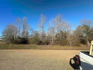 TBD Bear Valley Dr, Royal, AR 71968